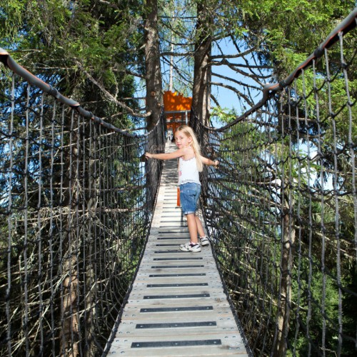 Loopbrug tussen de bomen 