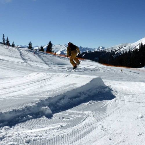 Skiër op schans