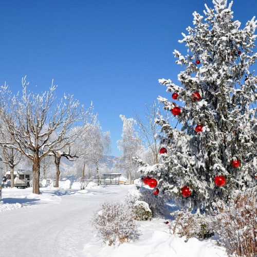 Camping Panorama met kerstmis