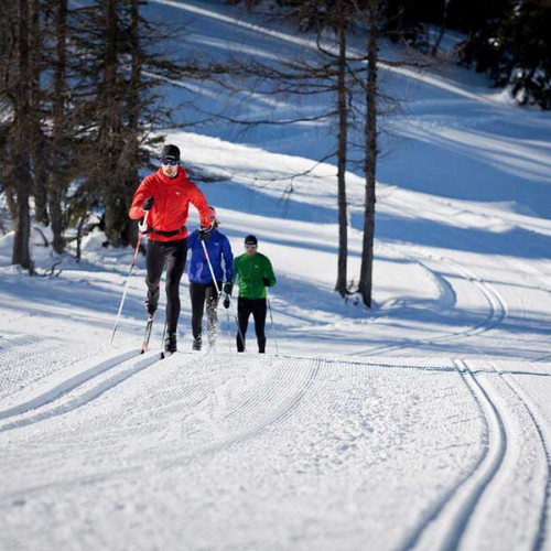 Langlaufers die uit de bossen komen